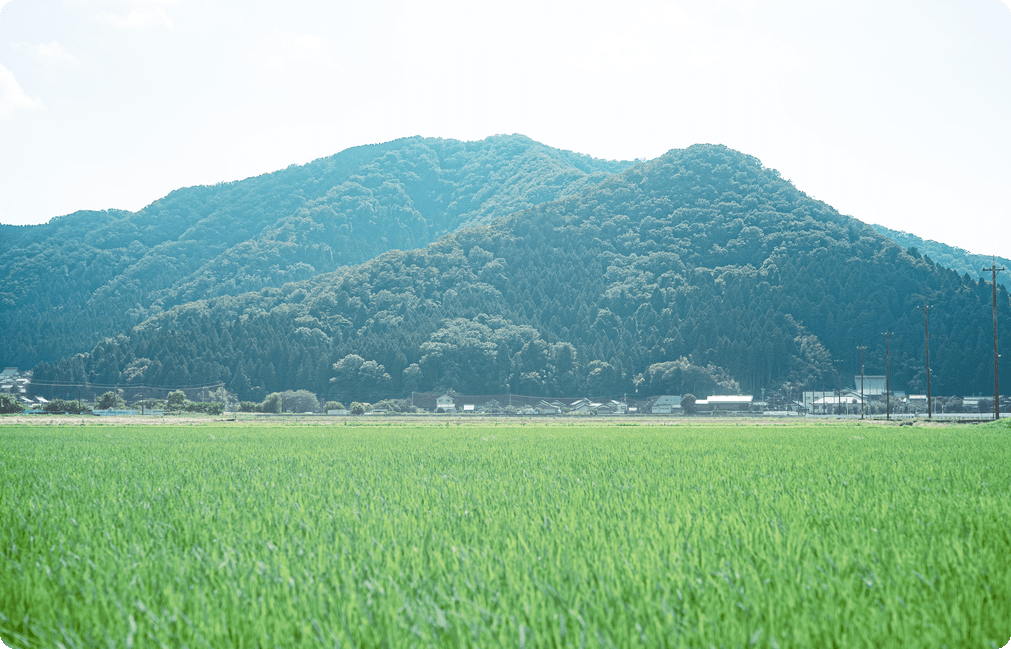 福井の山と田園の風景