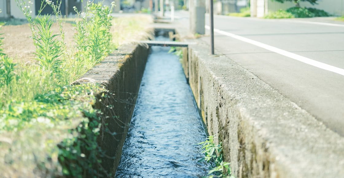 用水路と緑の風景